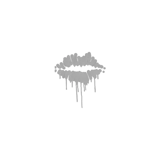 Sealed Graffiti | Kiss (Shark White)