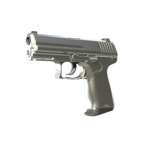 P2000 | Silver