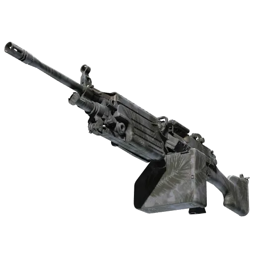 M249 | Полуночная пальма