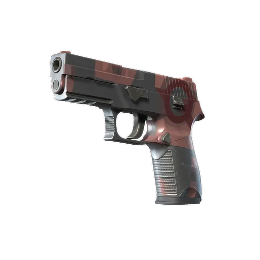 P250 | Constructivist