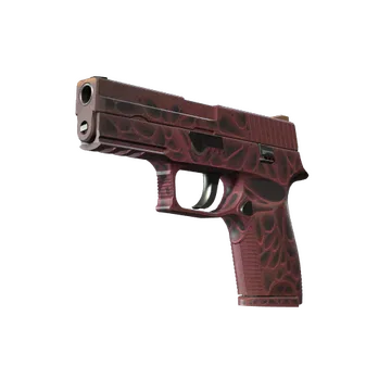 P250 | Contaminant