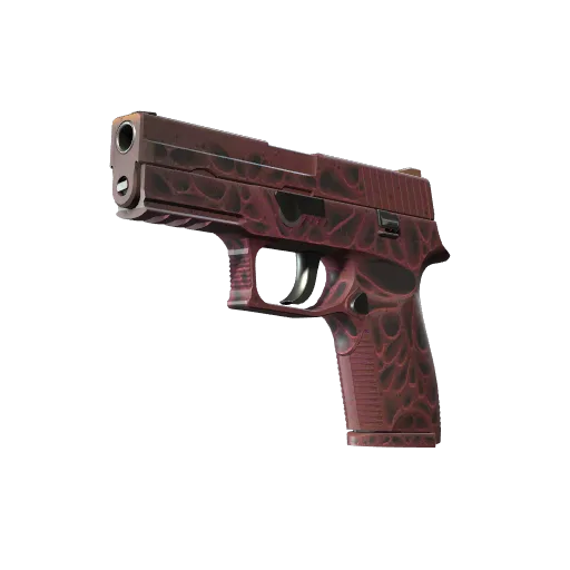 P250 | Загрязнитель