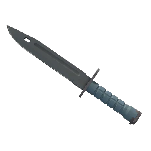 Bayonet | Night