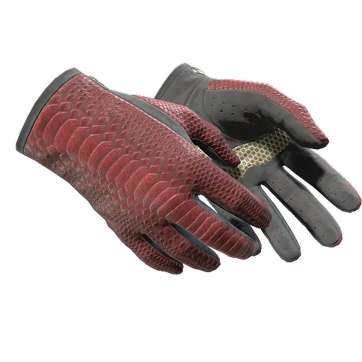 Driver Gloves | Dragon Fists