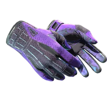 Sport Gloves | Pandora's Box