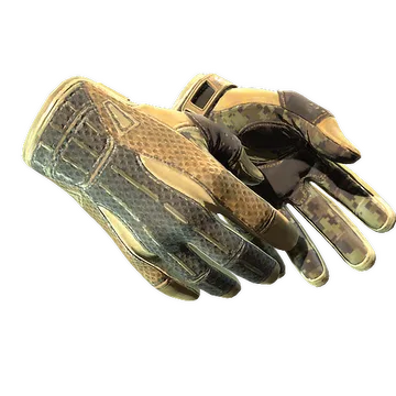 Sport Gloves | Arid