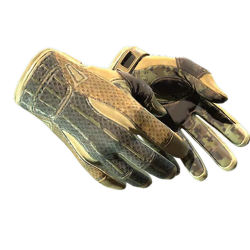 Sport Gloves | Arid