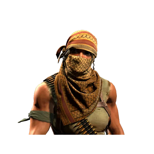 Trapper Aggressor | Guerrilla Warfare
