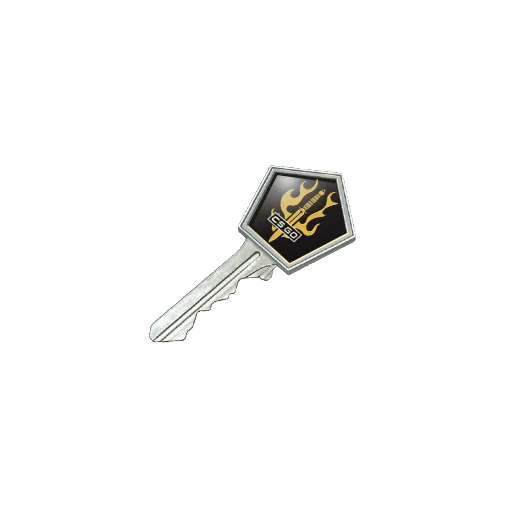 Spectrum 2 Case Key