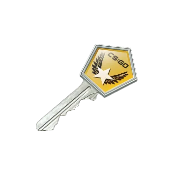 Winter Offensive Case Key