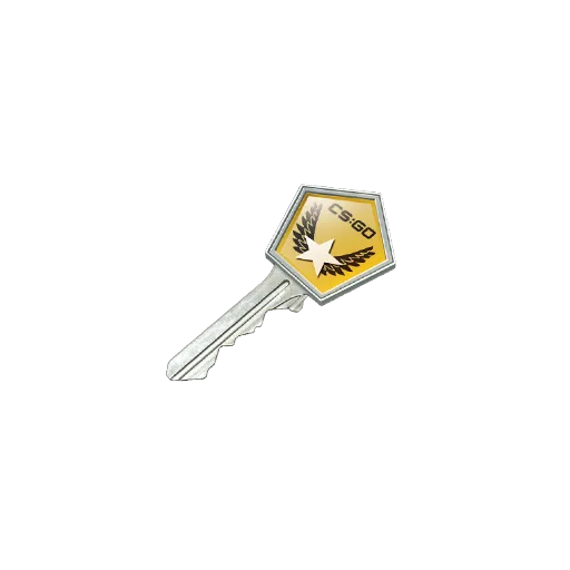 Winter Offensive Case Key