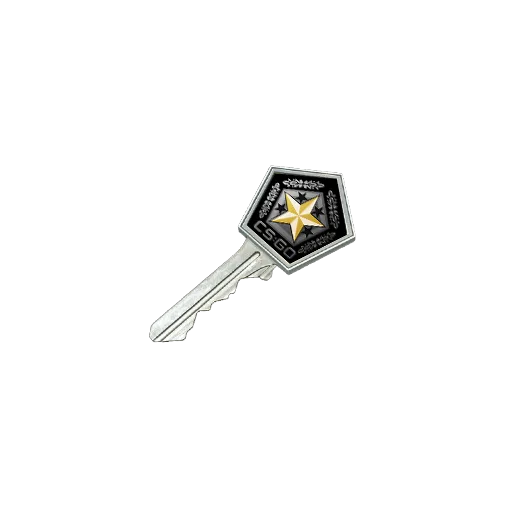 Gamma 2 Case Key