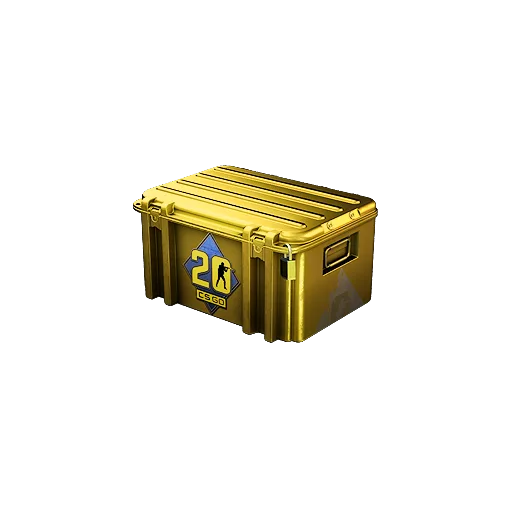 Кейс CS20