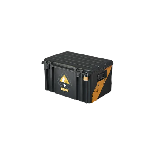 Оружейный кейс CS:GO