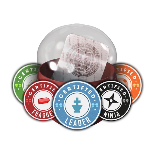 Team Roles Capsule