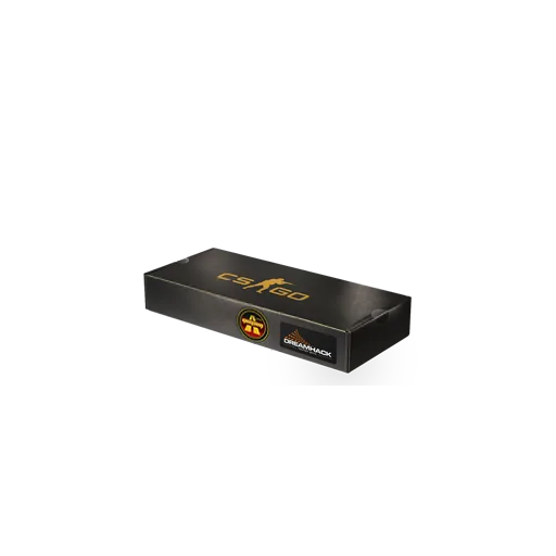 DreamHack 2014 Overpass Souvenir Package
