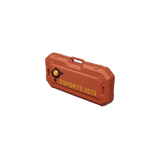 eSports 2013 Case