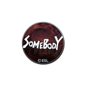 Sticker | somebody (Foil) | Katowice 2019