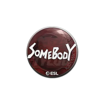Sticker | somebody | Katowice 2019