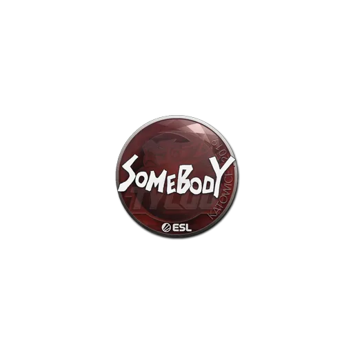 Наклейка | somebody | Катовице-2019