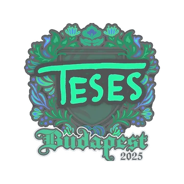 Sticker | TeSeS | Budapest 2025