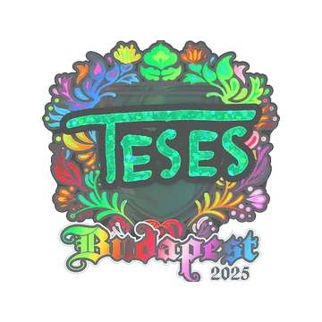 Наклейка | TeSeS (голографическая) | Будапешт-2025