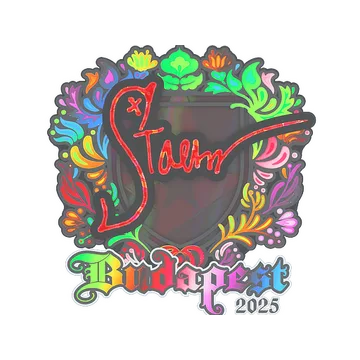 Sticker | Staehr (Holo) | Budapest 2025