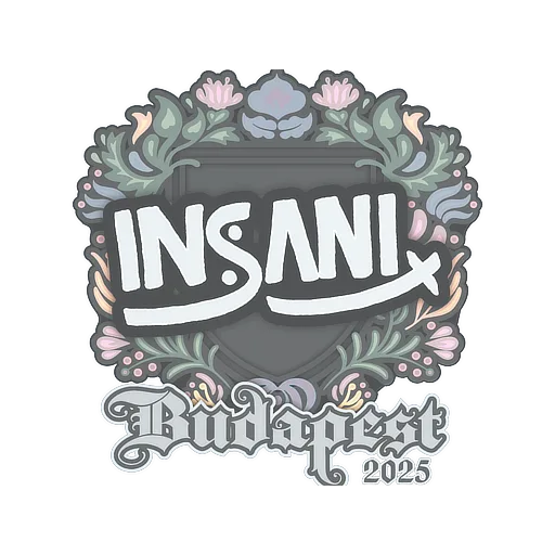 Наклейка | insani | Будапешт-2025