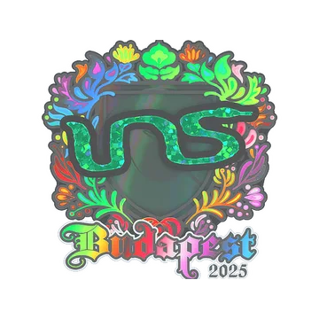 Sticker | INS (Holo) | Budapest 2025