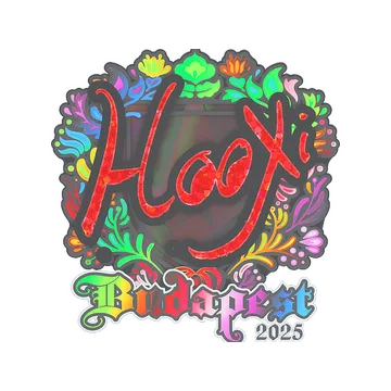Sticker | HooXi (Holo) | Budapest 2025