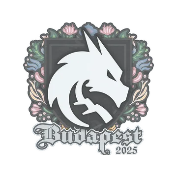 Sticker | Team Spirit | Budapest 2025