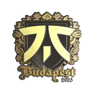 Наклейка | Fnatic (золотая) | Будапешт-2025