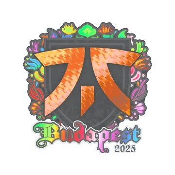 Наклейка | Fnatic (голографическая) | Будапешт-2025