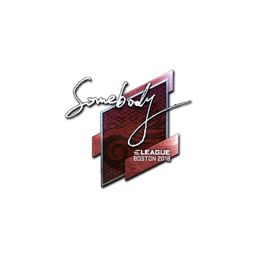 Sticker | somebody (Foil) | Boston 2018