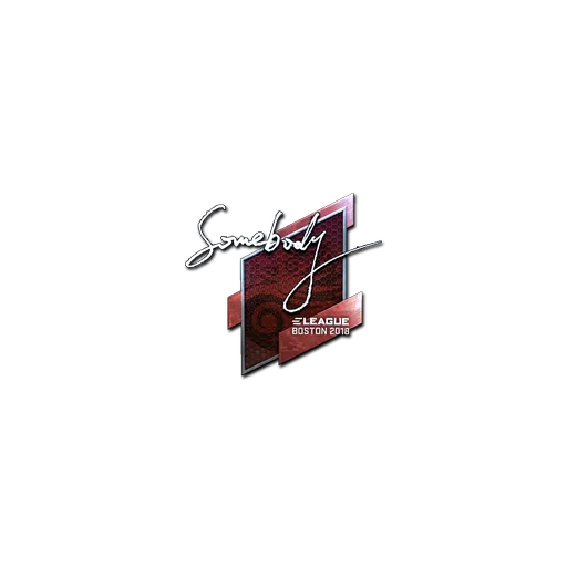 Sticker | somebody (Foil) | Boston 2018