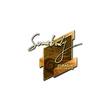 Sticker | somebody (Gold) | Boston 2018