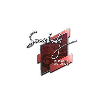 Sticker | somebody | Boston 2018