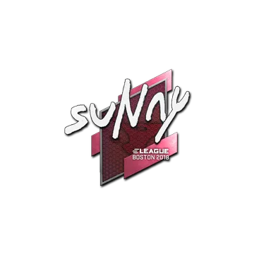 Sticker | suNny | Boston 2018