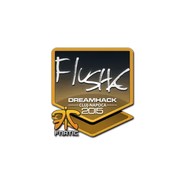 Sticker | flusha | Cluj-Napoca 2015
