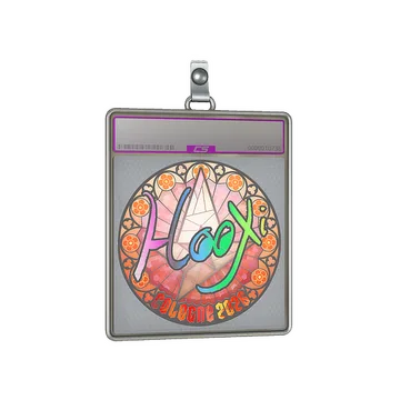 Sticker Slab | HooXi (Holo) | Cologne 2026