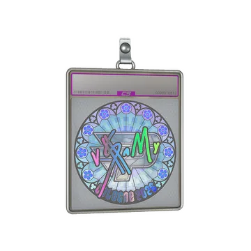 Sticker Slab | v$m (Holo) | Cologne 2026