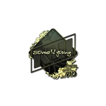 Sticker | sdy (Gold) | Rio 2022