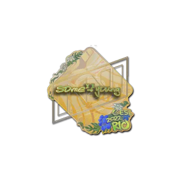 Sticker | sdy (Holo) | Rio 2022