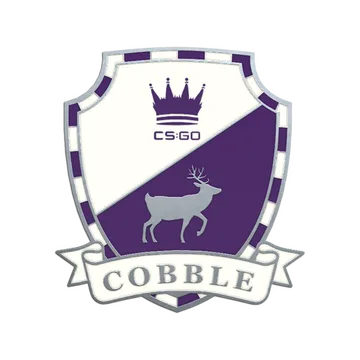 Cobblestone Pin