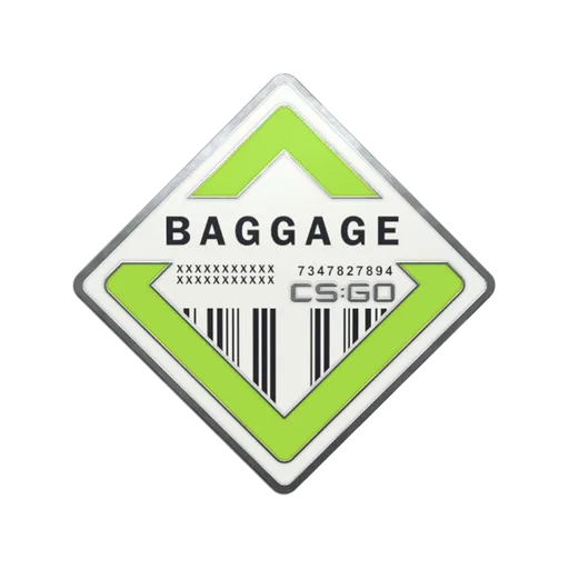 Baggage Pin