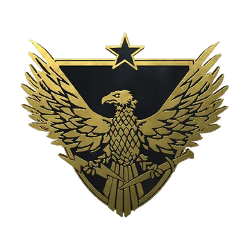 Brigadier General Pin
