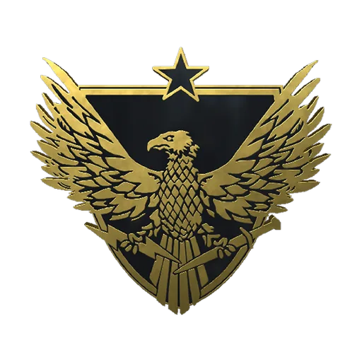 Brigadier General Pin